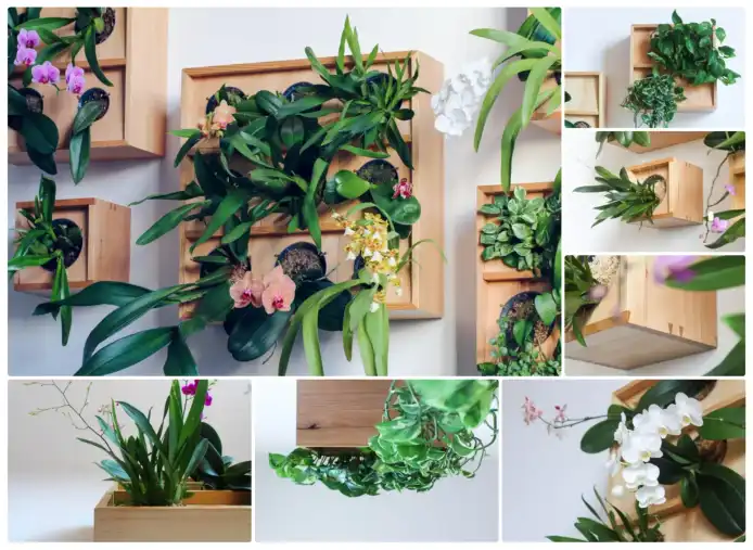 DIY Vertical Orchid Planter