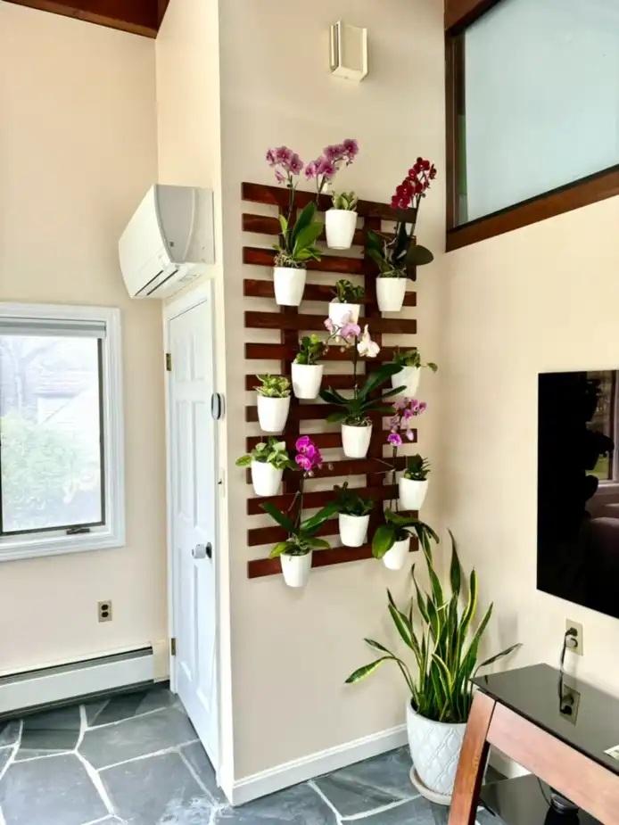 The orchid wall